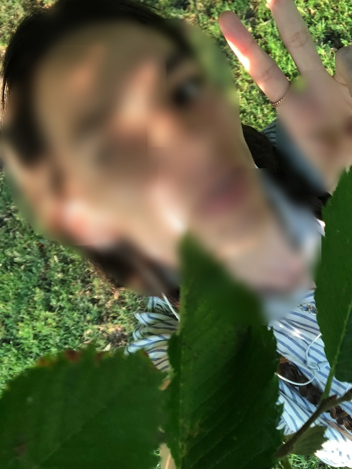 SecretAudrey